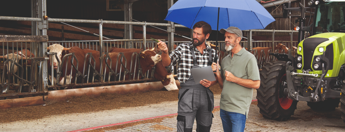 Zwei Landwirte unter dem blauen Schutzschirm in einem Kuhstall