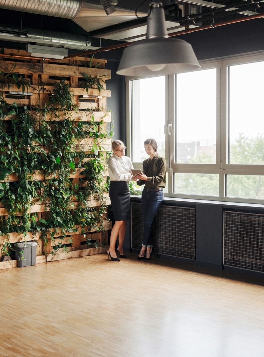 Eine bepflanzte Holzwanf aus Europaletten in einer Bürosituation mit zwei Damen die ein Gespräch führen