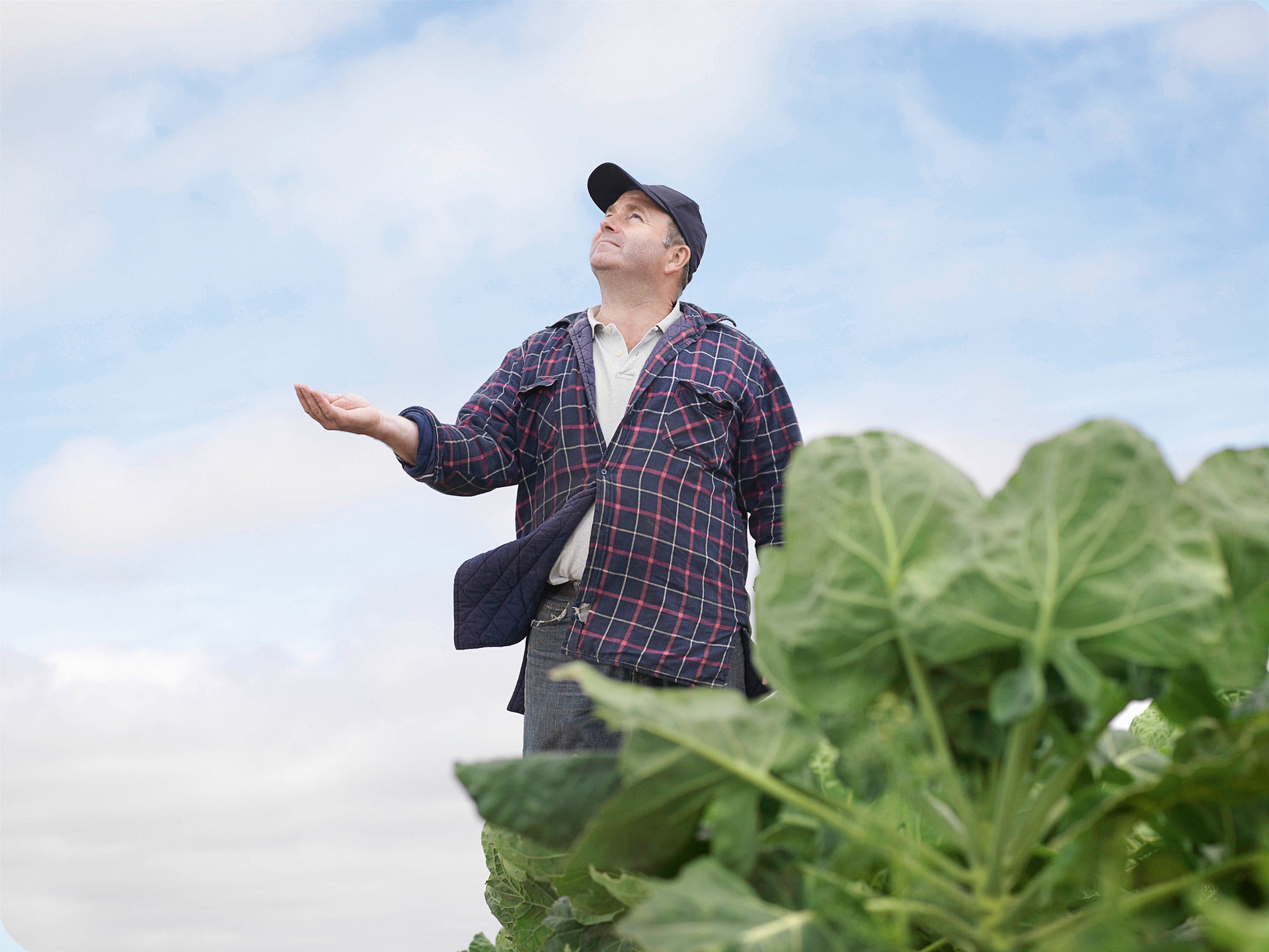 Ein Landwirt steht an seinem Feld, schaut erwartungsvoll in den bewölkten Himmel und hält seine Hand auf