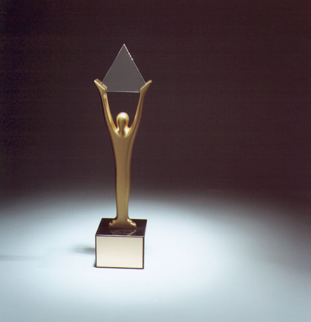 Stevie® Award Gold