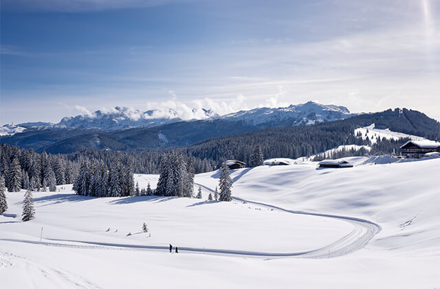 Versicherungskammer Sponsoring Bayerischer Skiverband Winklmoosalm