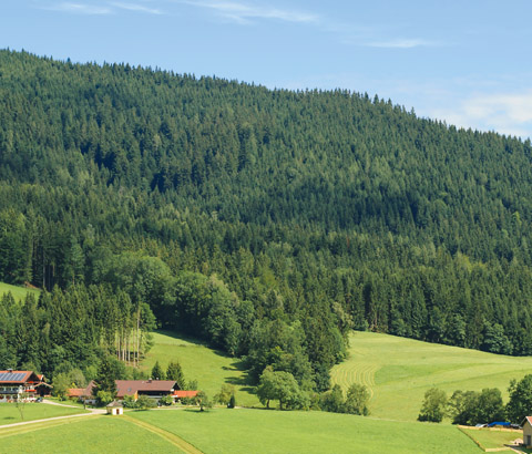 Landwirte | Feldfrüchte | Waldbrandversicherung | Teaser