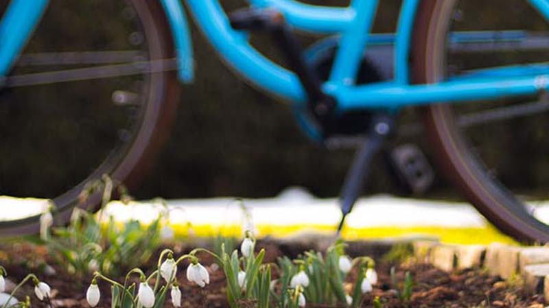 teaser-fahrrad-fruehling