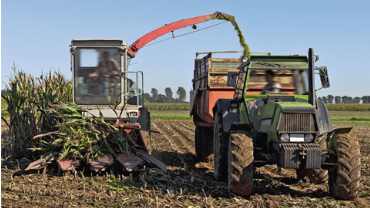 Traktor bei der Ernte