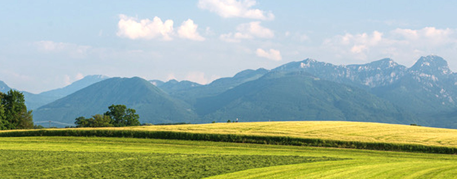 schnitzlbaumer_landschaft_large-refrenzen