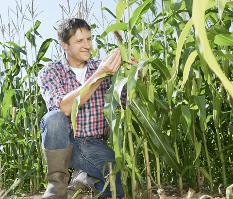 Zielgruppe Landwirtschaft